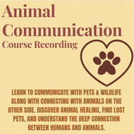 Animal Communication Course Recording